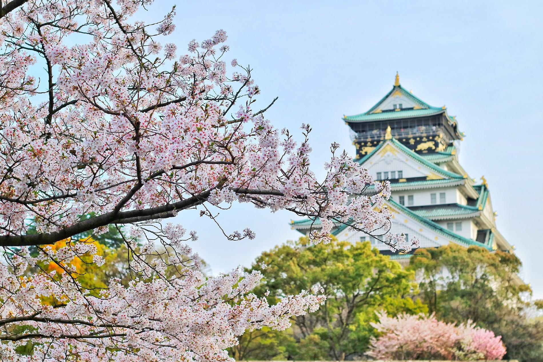 Descubre Japón