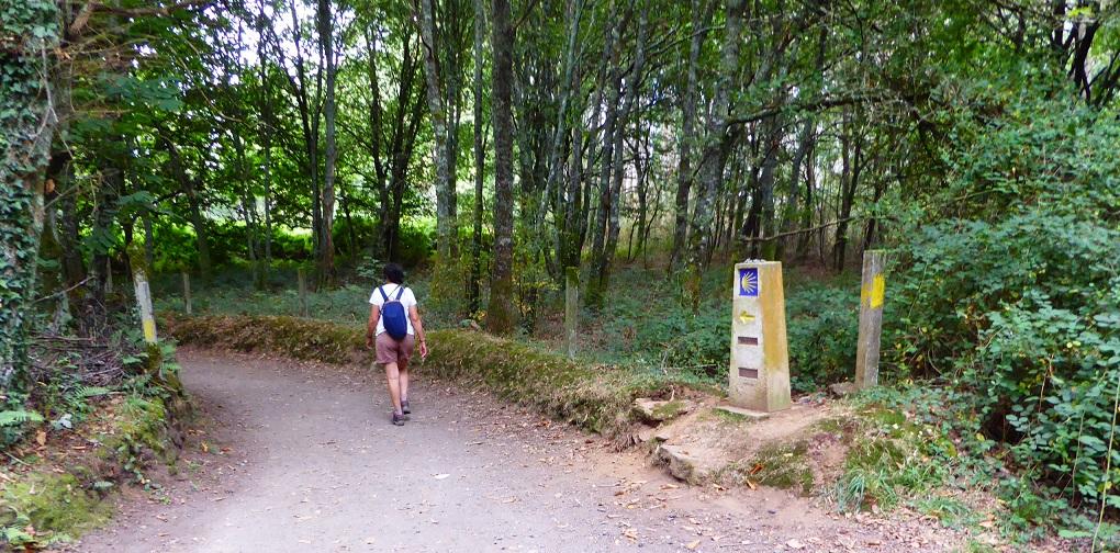 Portomarín → Palas de Rei