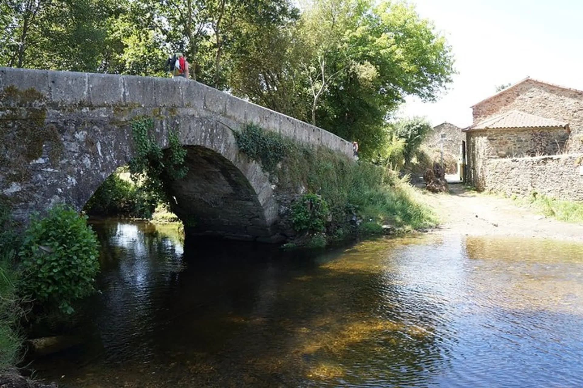 Camino Francés últimos 100 km