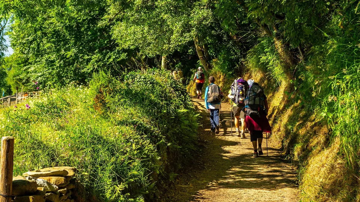 Camino primitivo últimos 100 km