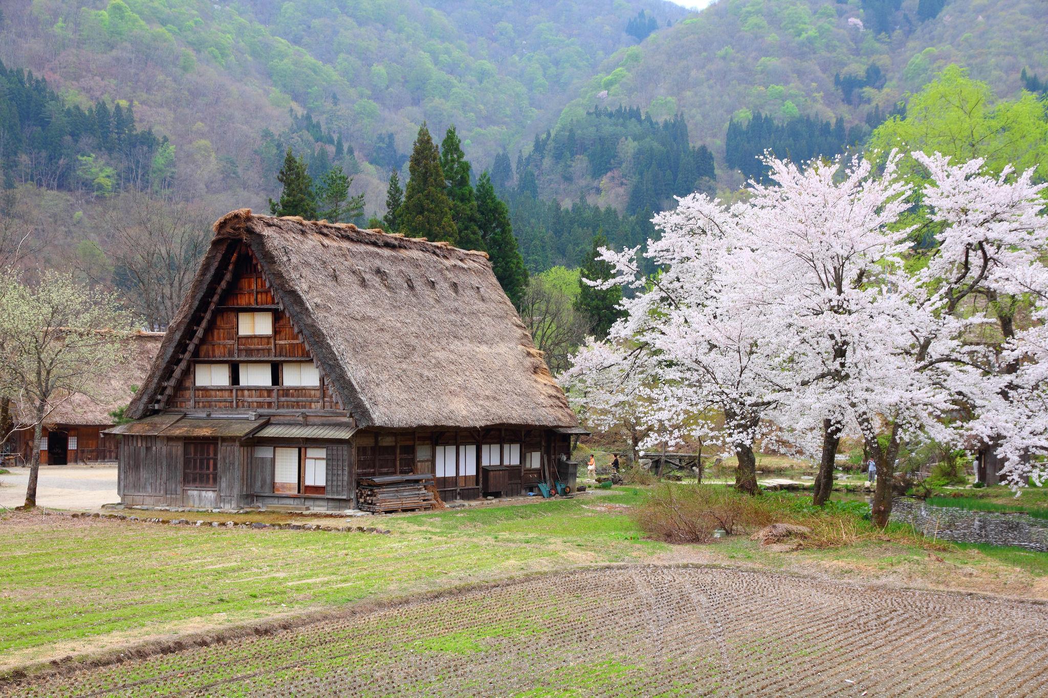 Takayama – Shirakawago – Kanazawa