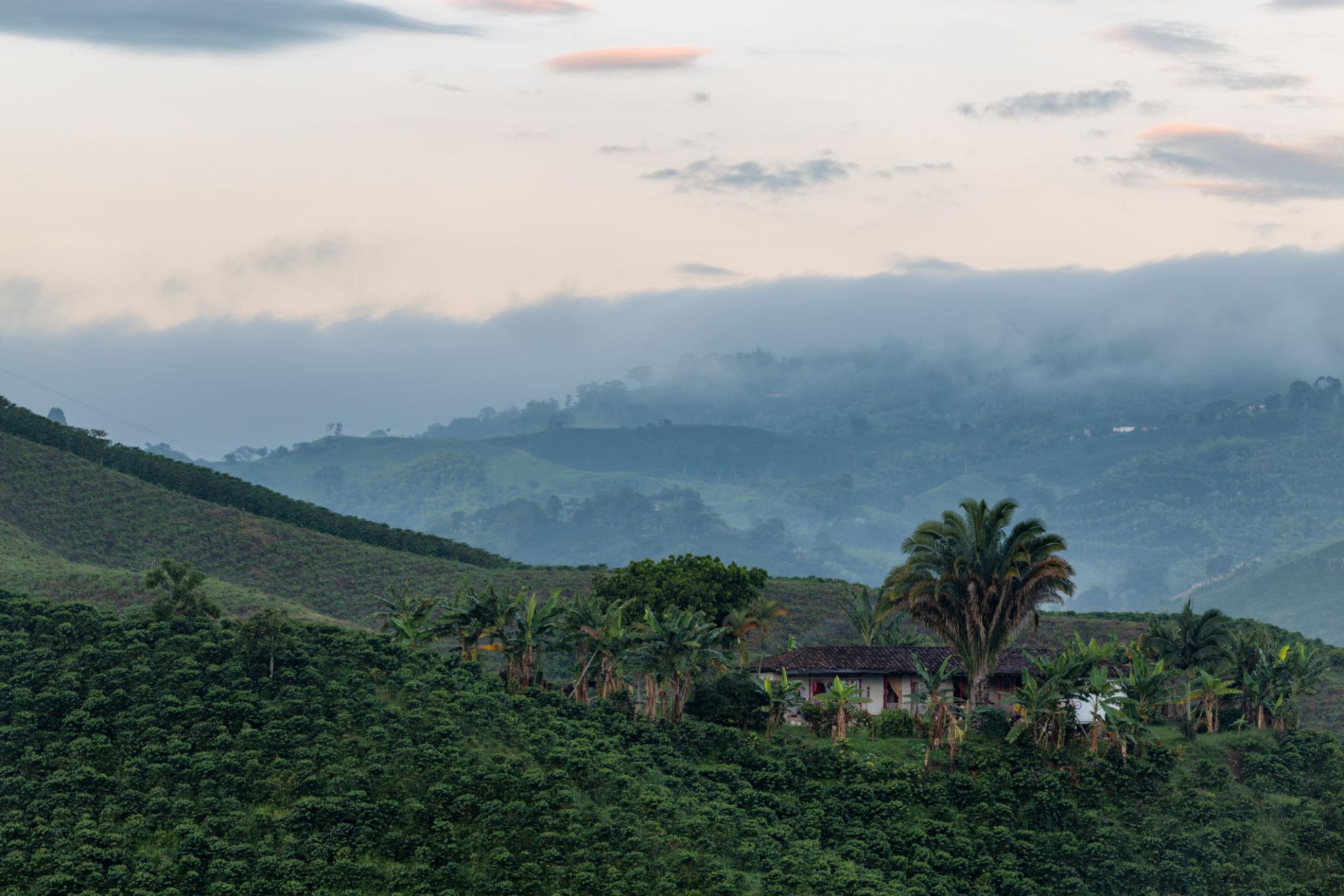 De Bogotá a Pereira
