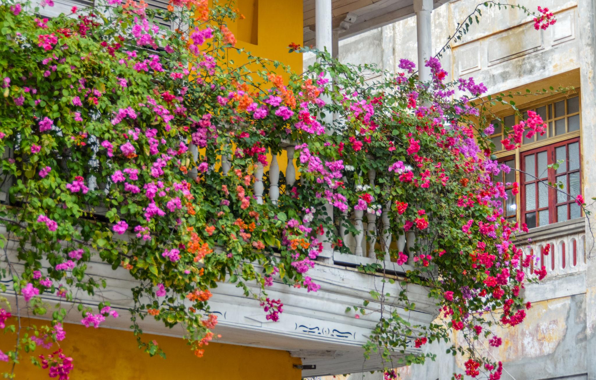 Traslado a Cartagena de Indias