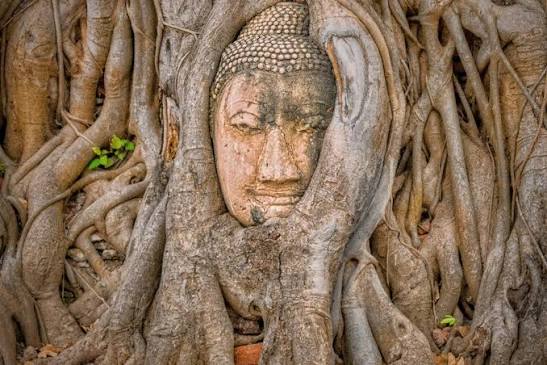 Bangkok – Mahasawat – Ayutthaya