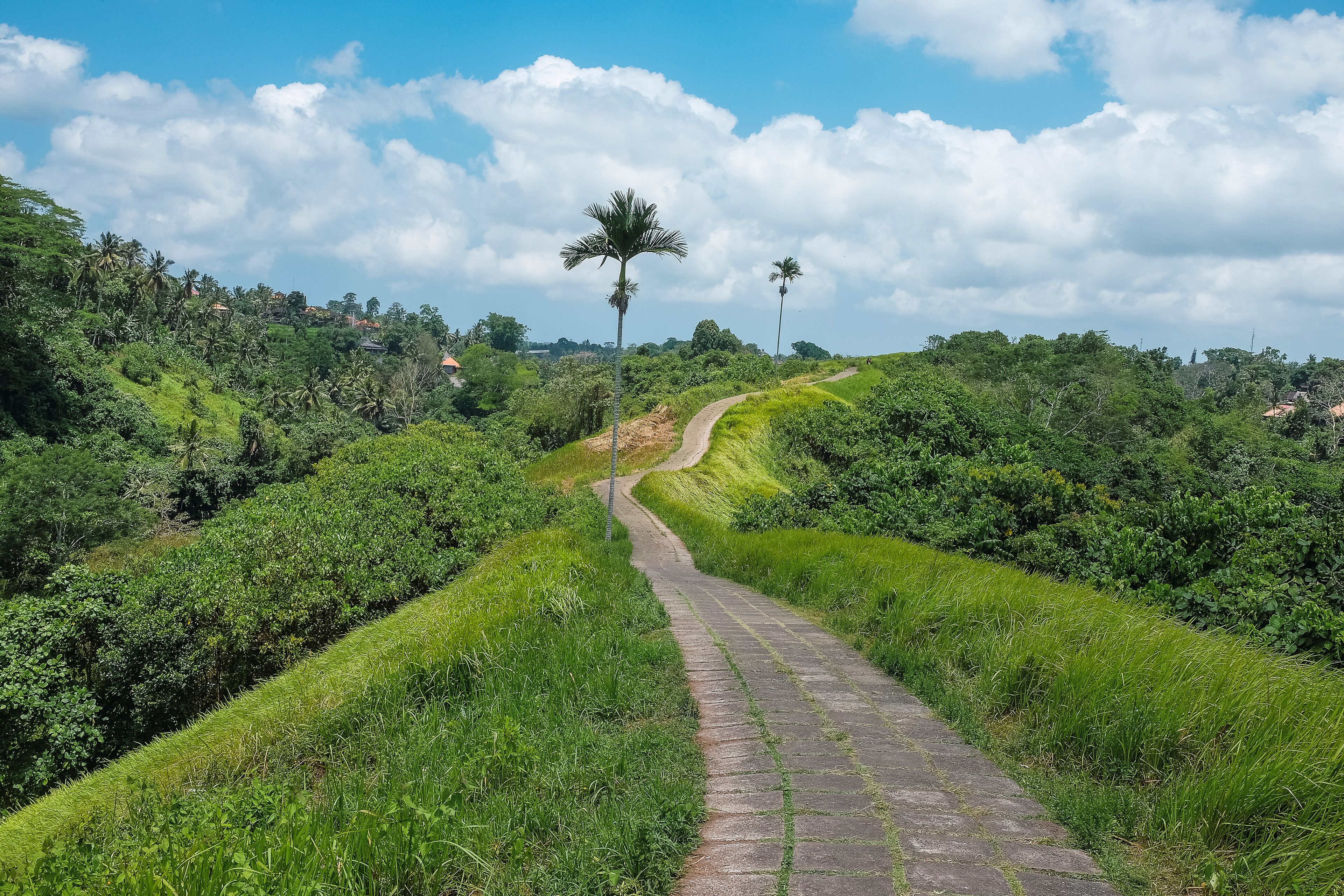 Ubud
