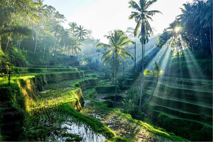 Circuito Tailandia, Bali e Islas Gili 15Días