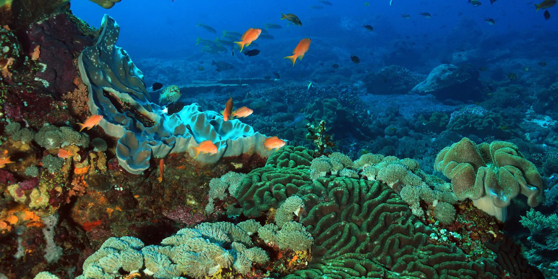 Islas Gili