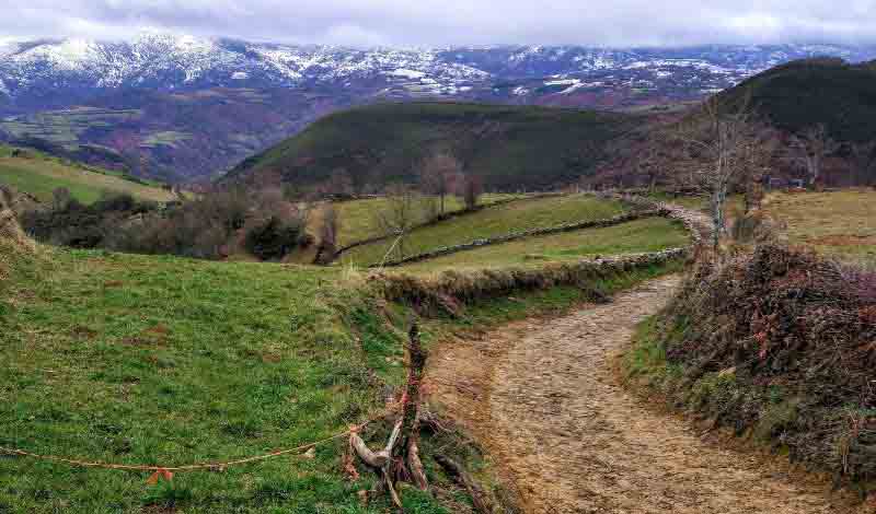 Fin del camino