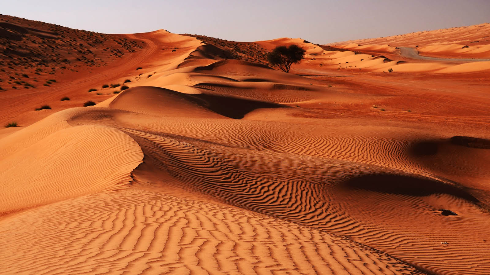 Entre Mares y desiertos (Omán-EAU 13 días)