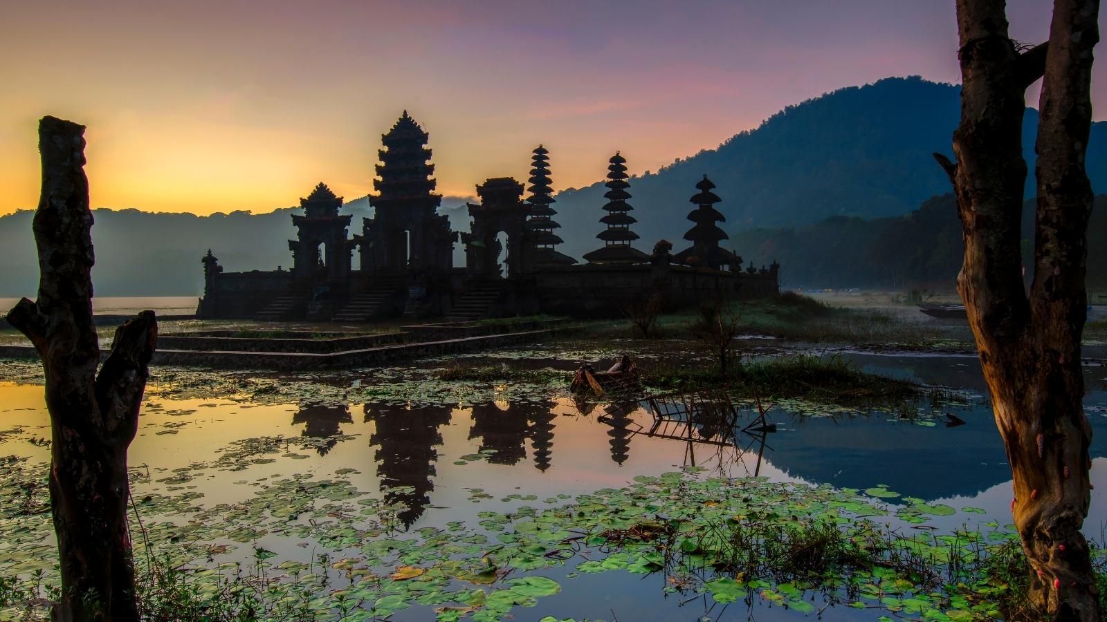 PUPUAN/BELIMBING – LOVINA