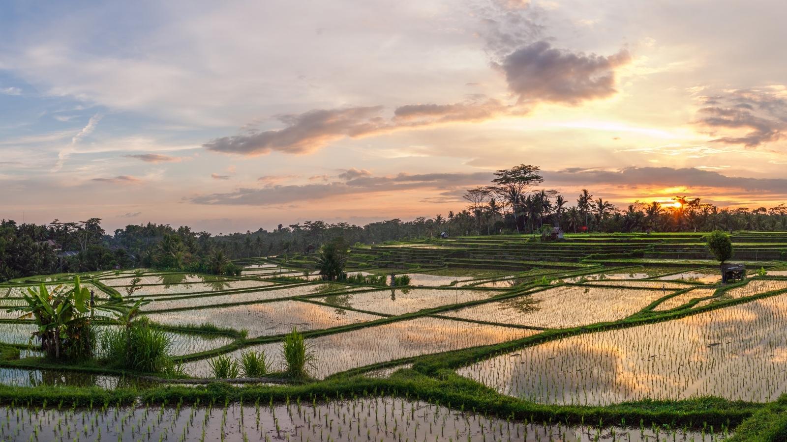 Bali mágico y Gili Terawangan 9 Noches