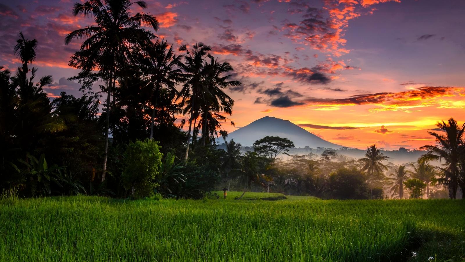 Bali increíble, 11 días. En privado.