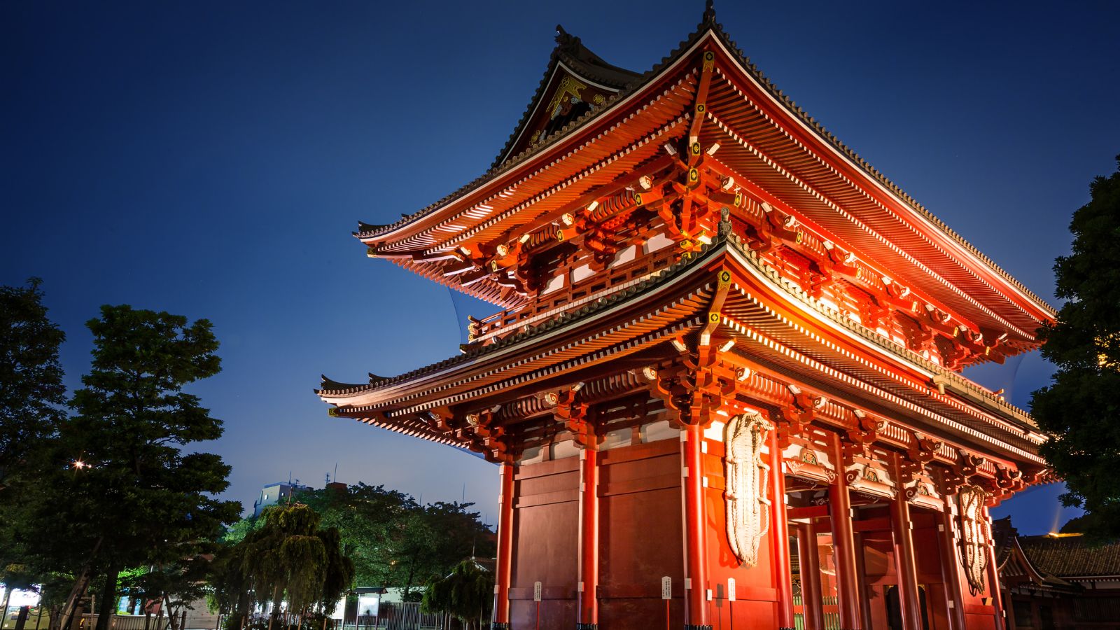 Japón express 9 días