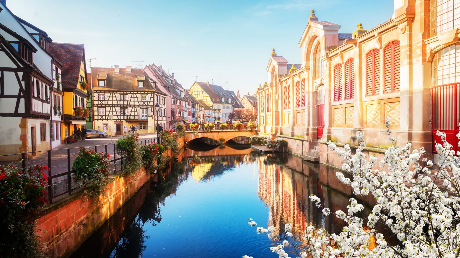 COLMAR Y RUTA DEL VINO
