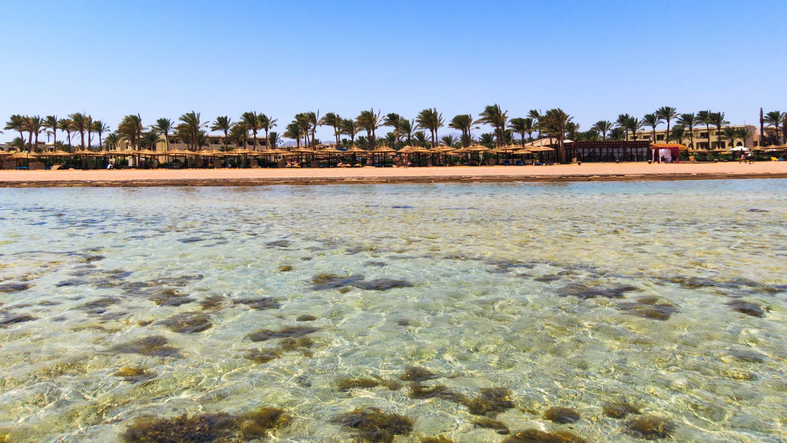 SHARM EL SHEIKH