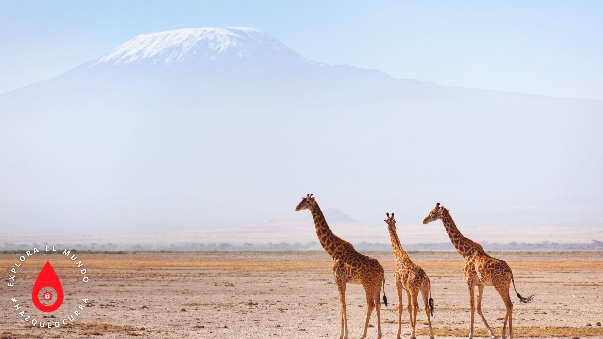 Kenia espectacular, 11 días.
