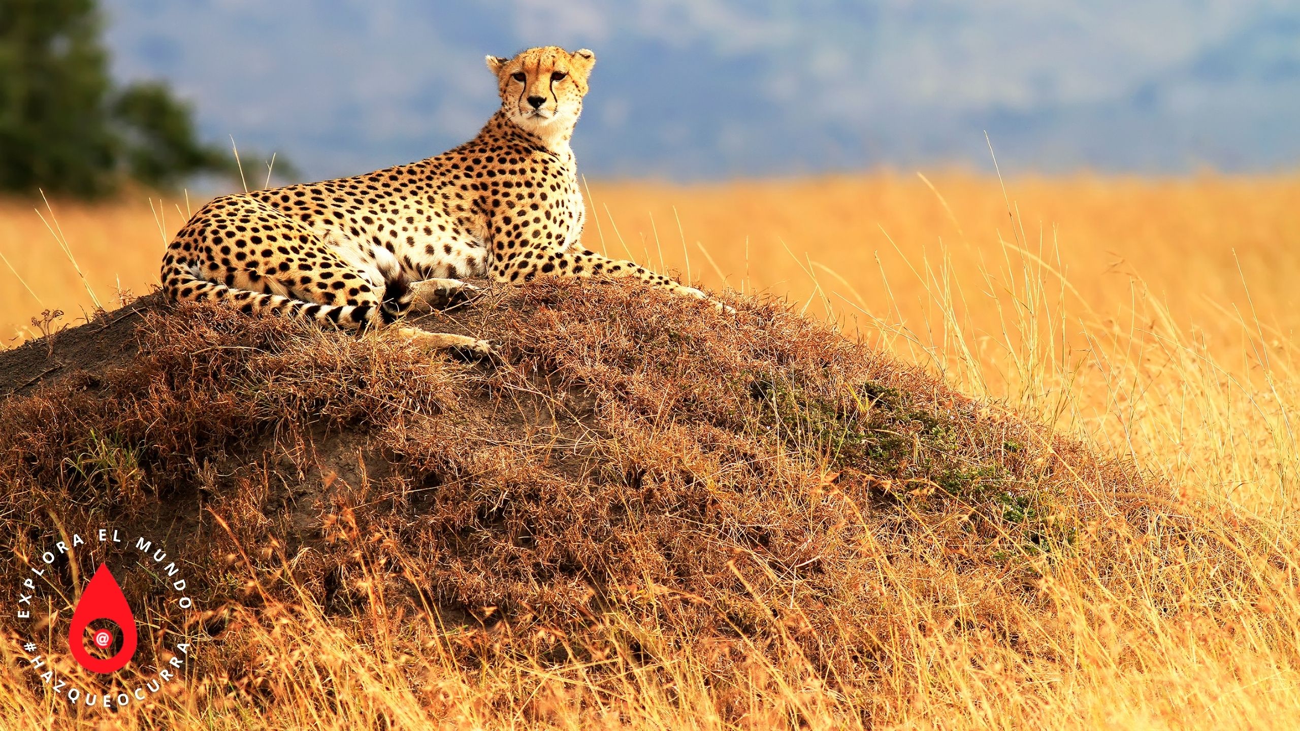 Kenia mágica, 10 días.
