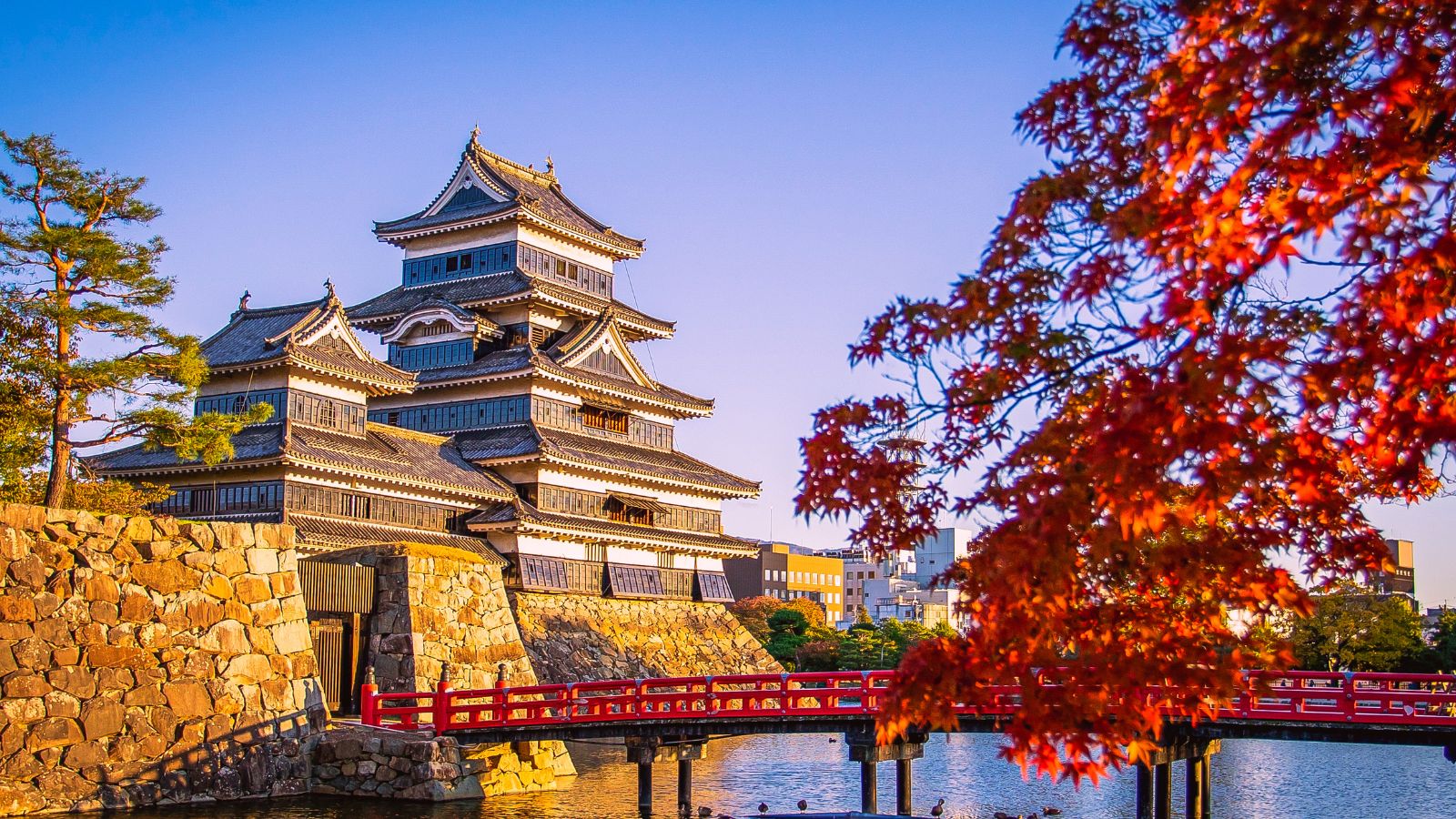 Maravillas de Japón, 15 días.