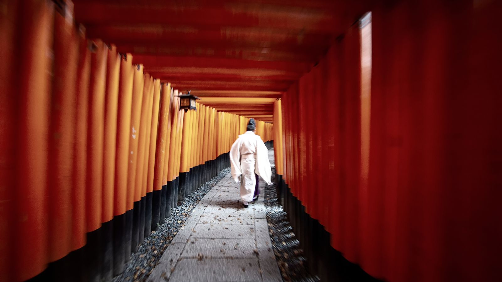 JAPÓN A TU ALCANCE 10 días. Salidas Diarias.