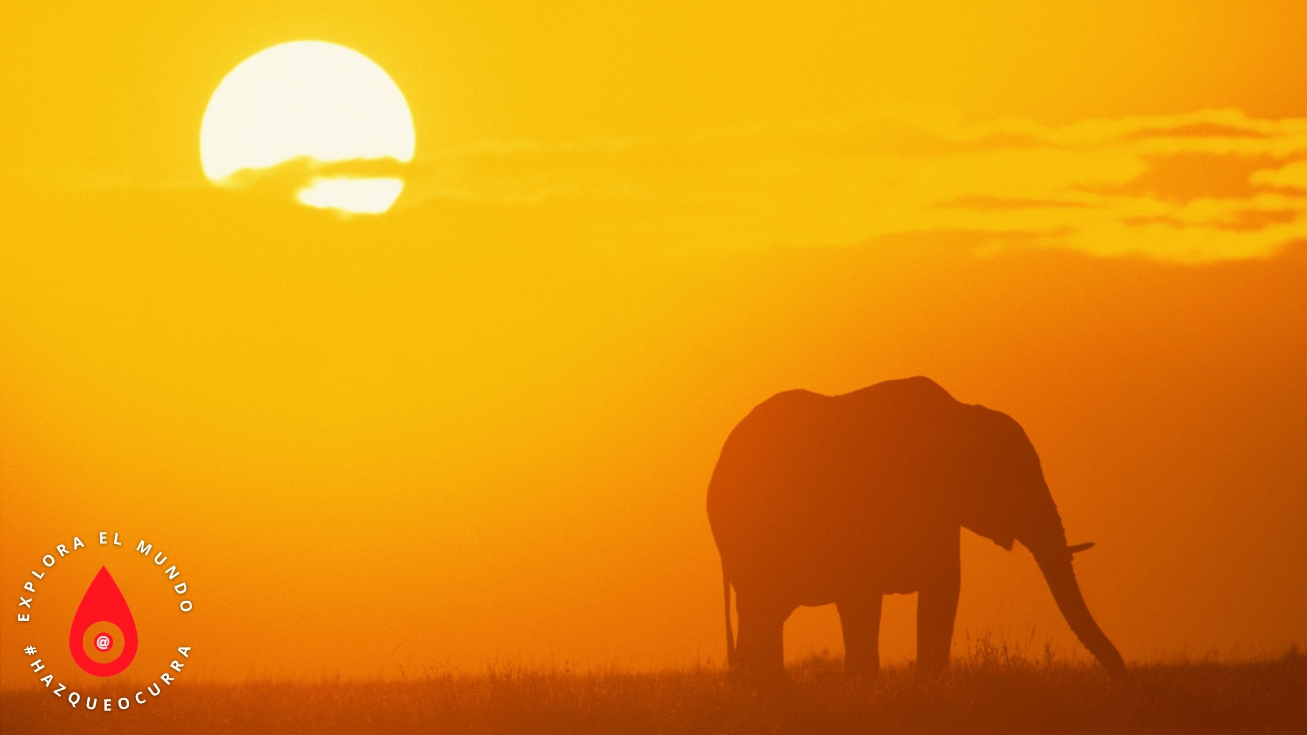 Colores de Kenia, 10 dias