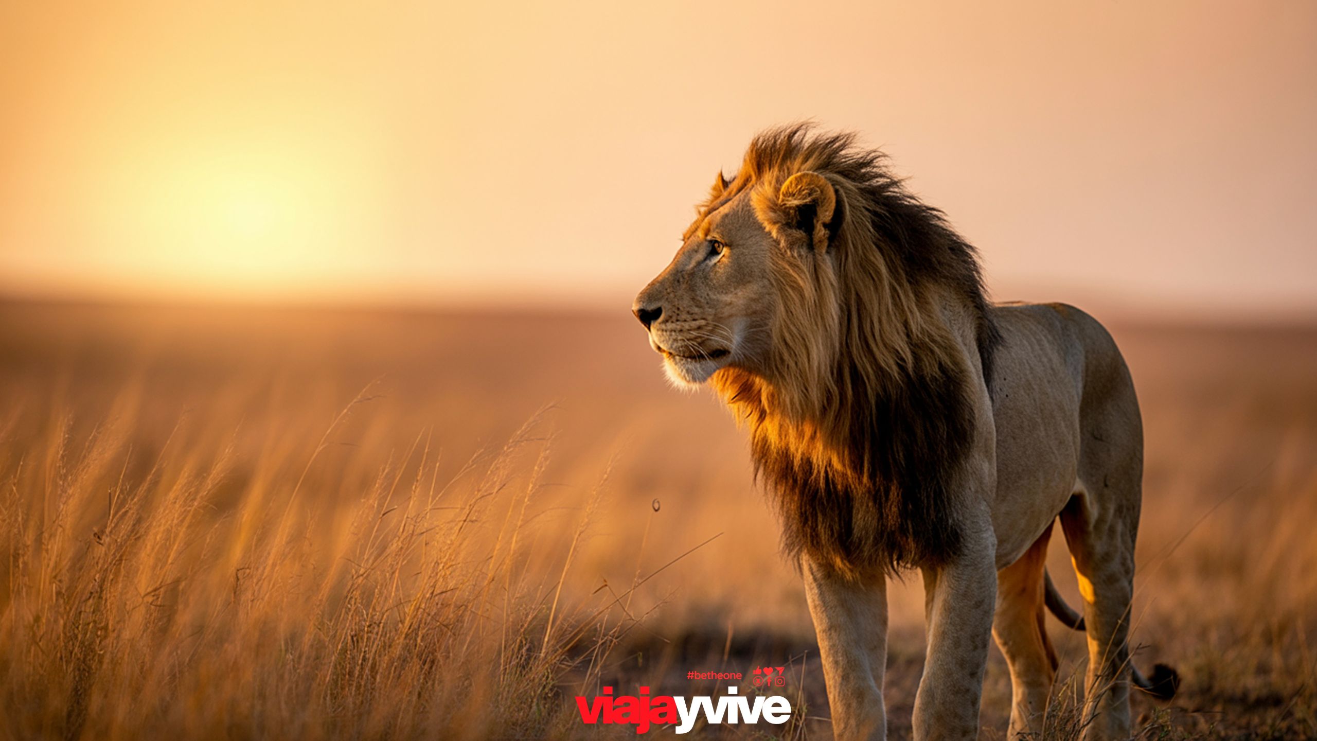 Grandes Llanuras:Tarangire, Serengeti y Ngorongoro, 9 días
