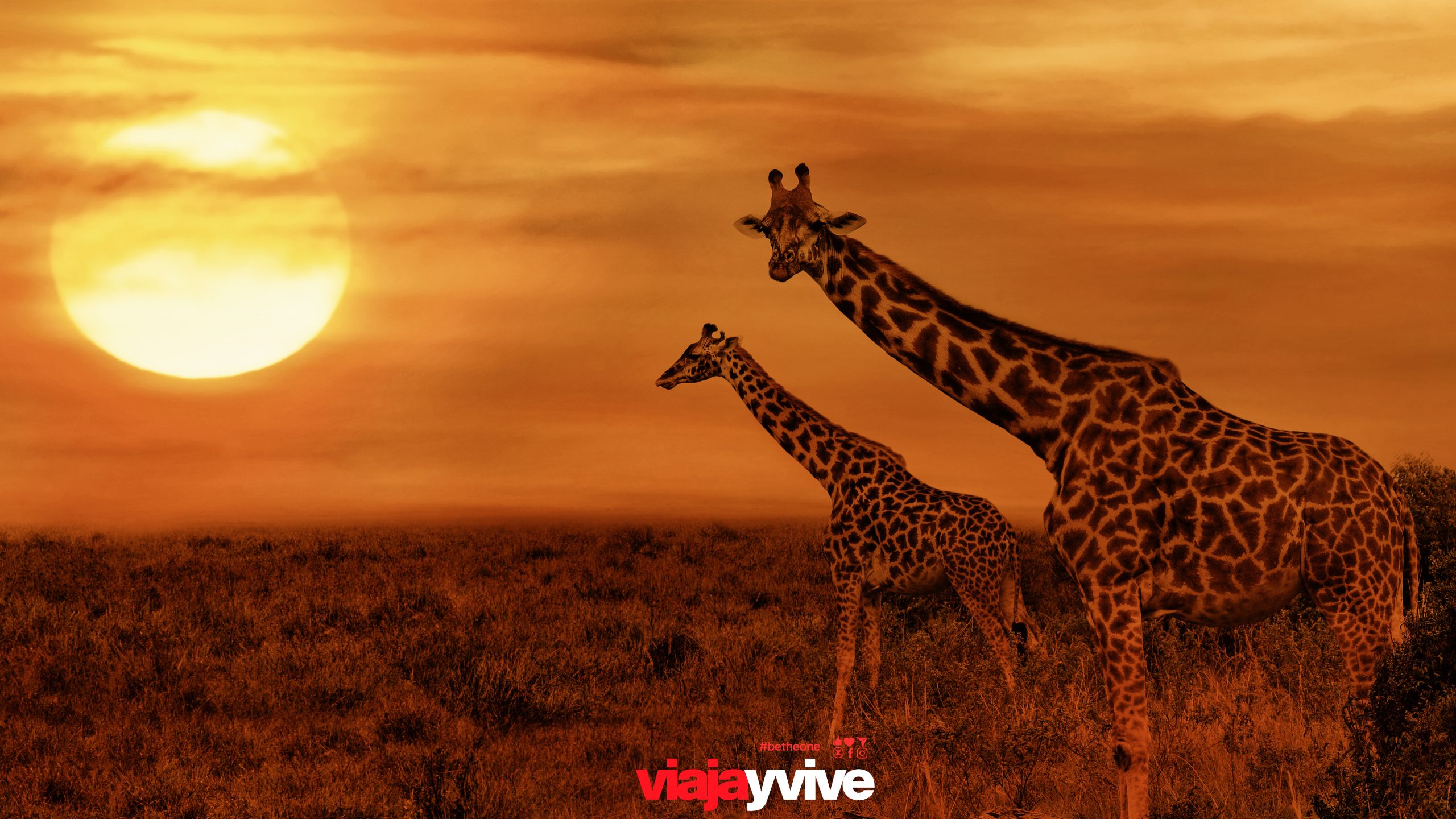 Grandes Llanuras:Tarangire, Serengeti y Ngorongoro + Playas de Zanzíbar 12 días
