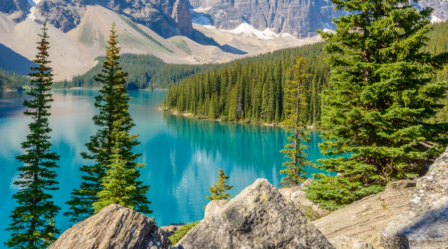 Essências do Oeste do Canadá