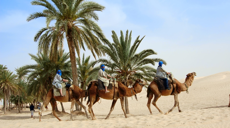Hammamet