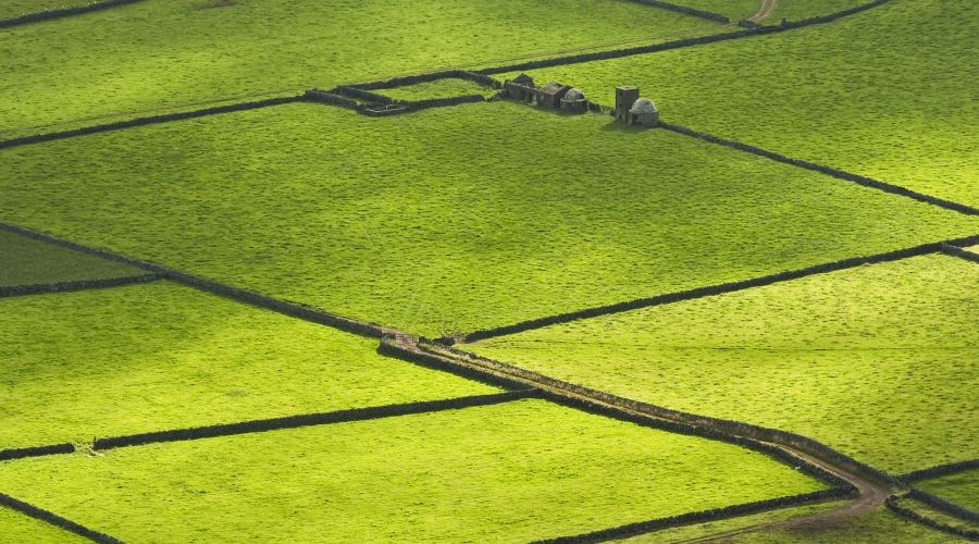 Short stay in Terceira island . Azores