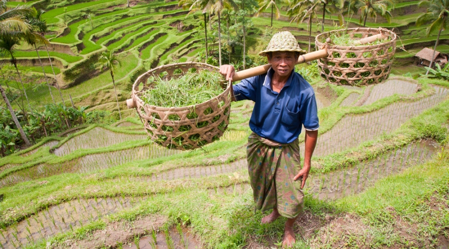 Bali