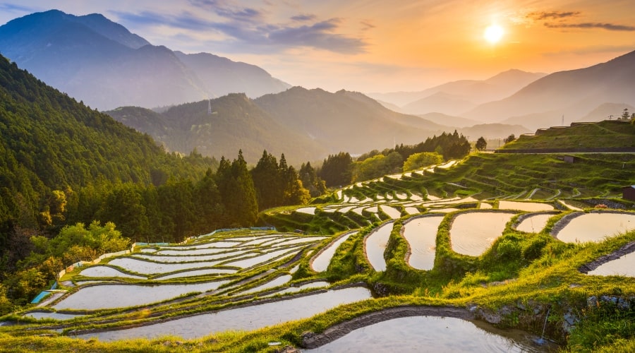 Tesouros do Japão. Caminho de Kumano