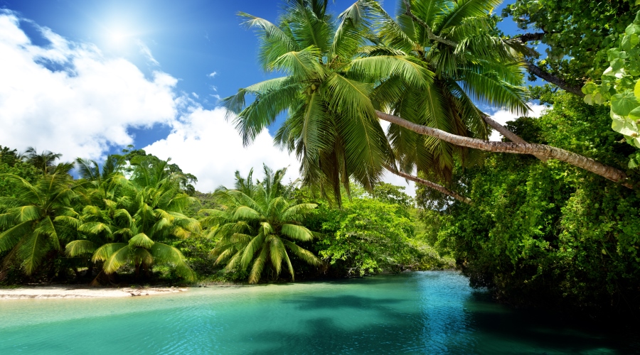 Seychelles Tudo Incluído . Mahé