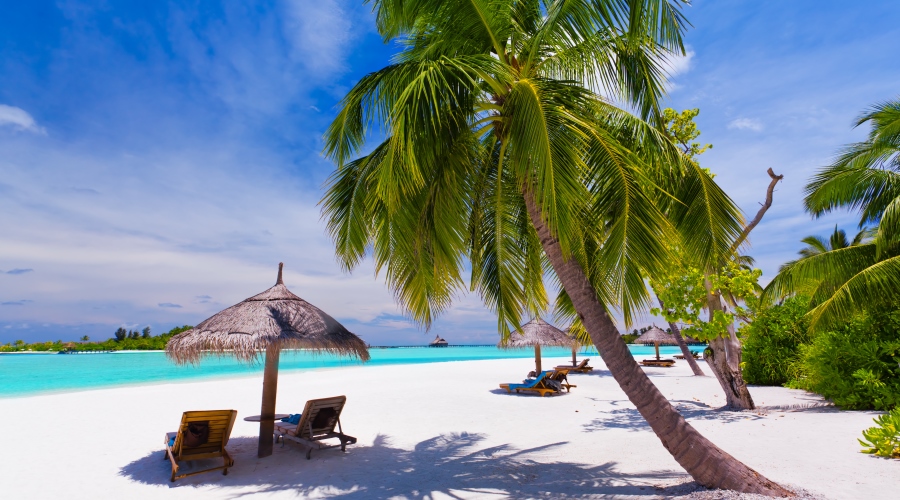Punta Cana . Tudo incluído de Lisboa e Porto