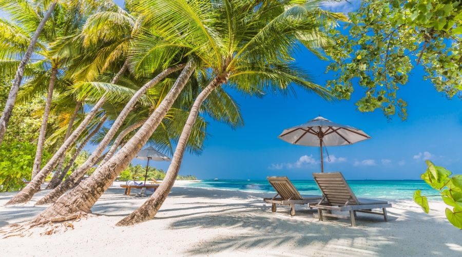 Punta Cana . Tudo incluído de Lisboa e Porto