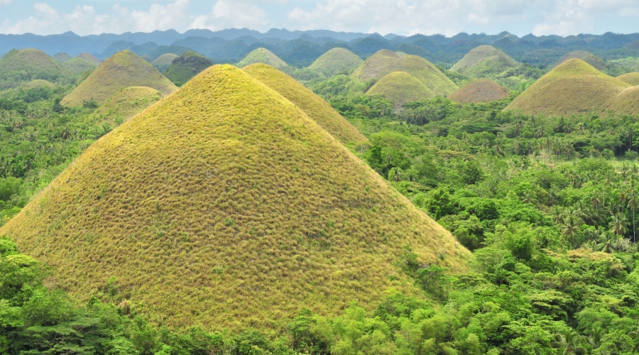 Cebu / Bohol