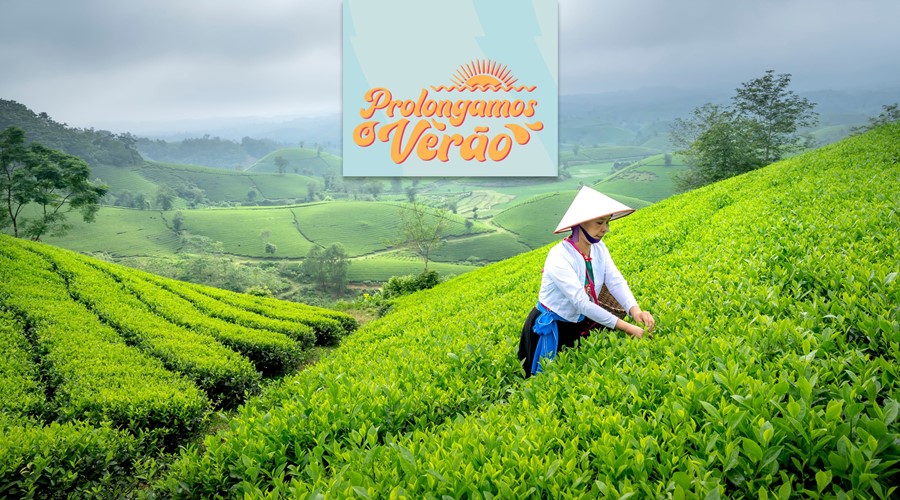 Tesouros do Vietname