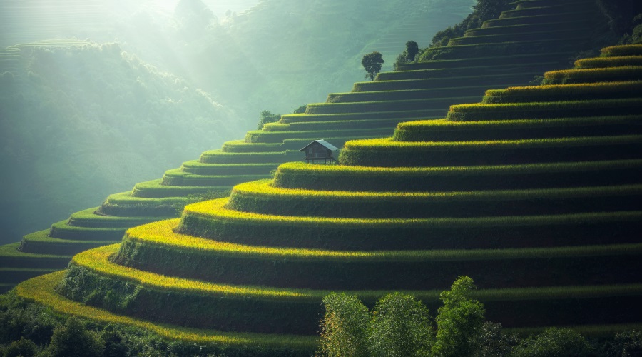 Vietname & Ilha de Bali