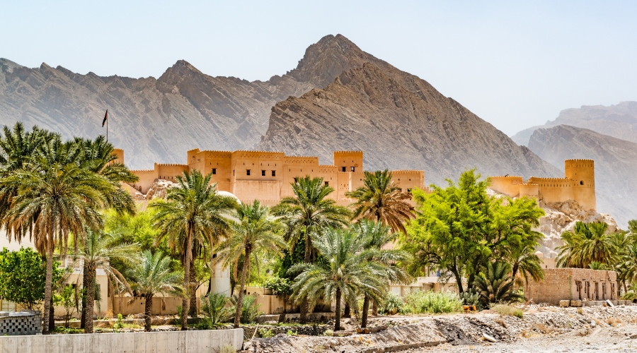 Ras Al Jinz / Sur / Muscate
