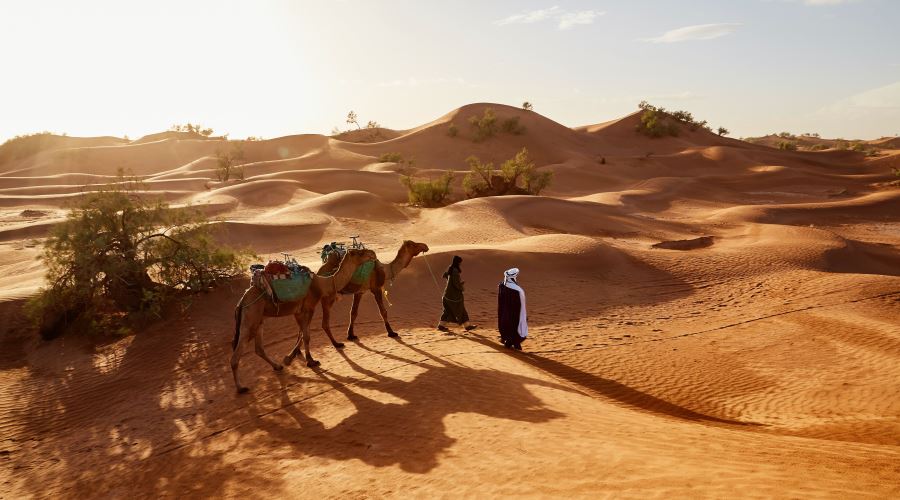 Nizwa / Wahiba Sands