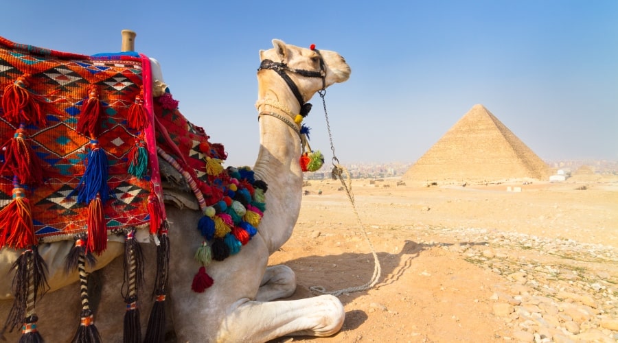 Cairo
