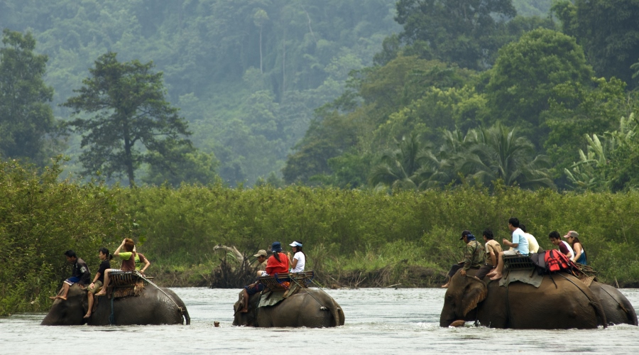 Chiang Rai / Chiang Mai