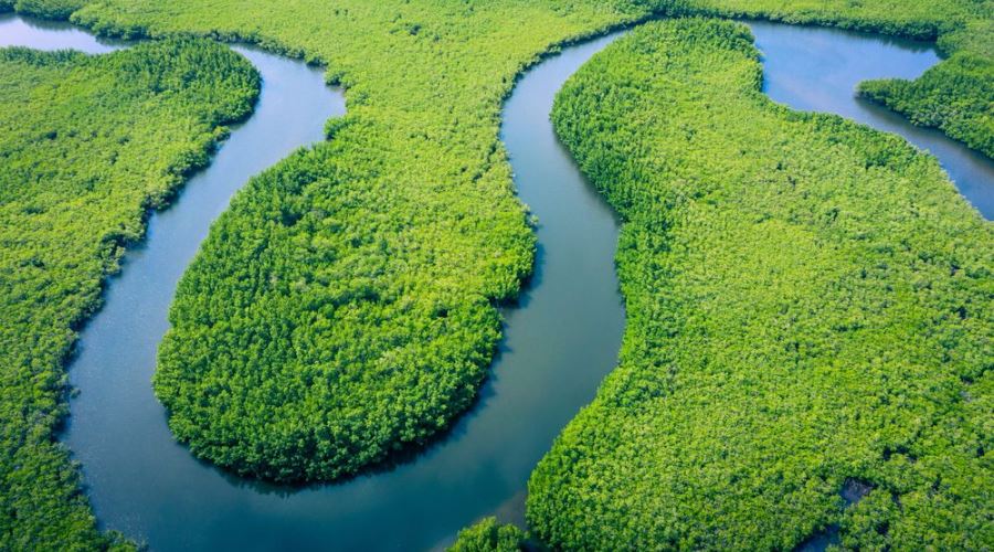 Vale Sagrado & Cruzeiro pelo Amazonas