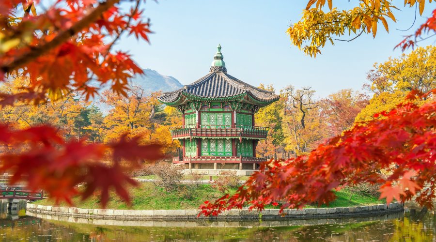 Encantos da Coreia do Sul