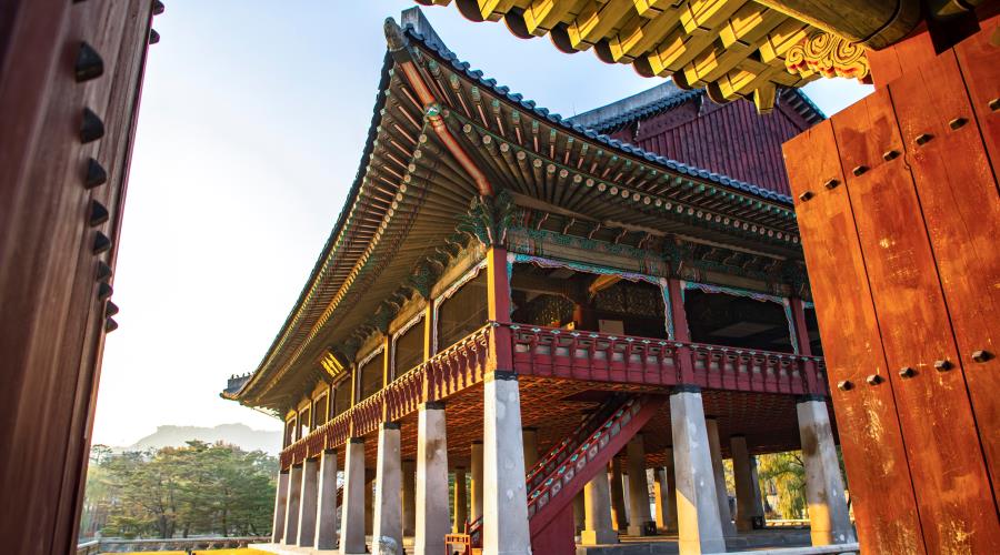 Daegu / Gyeongju Tour / Busan