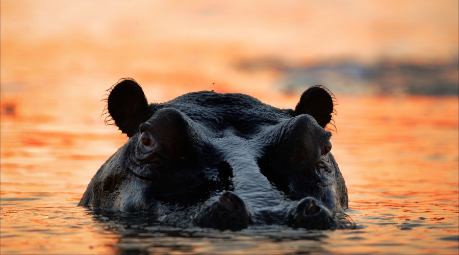Lago Manyara