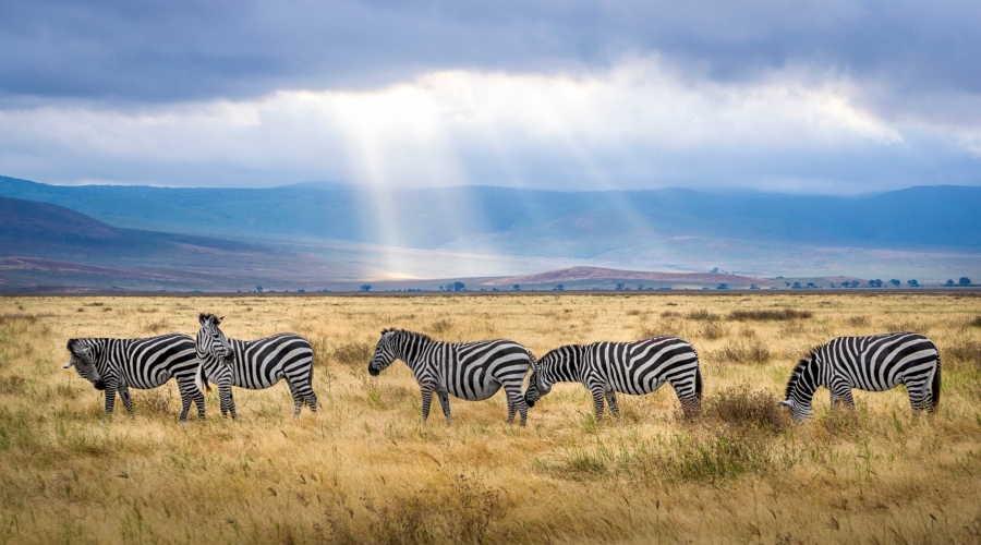 Cratera de Ngorongoro
