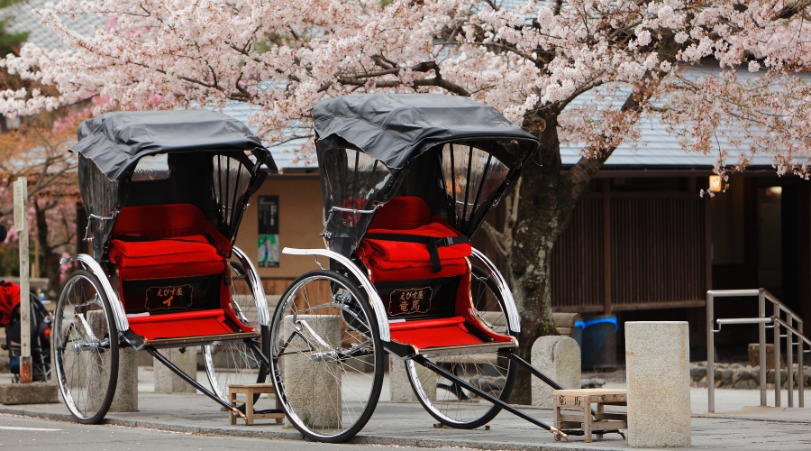 Visita a Takayama