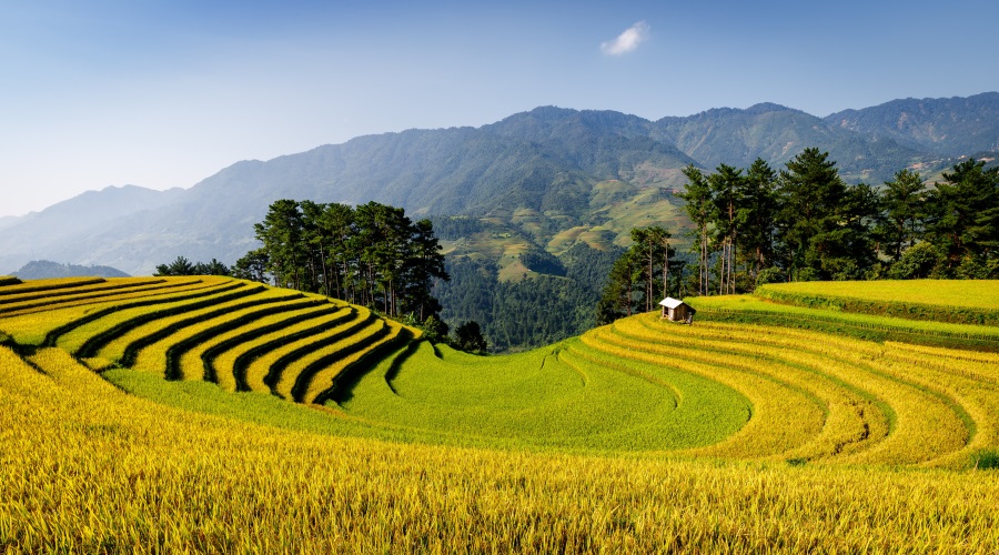 Visitas em Pu Luong