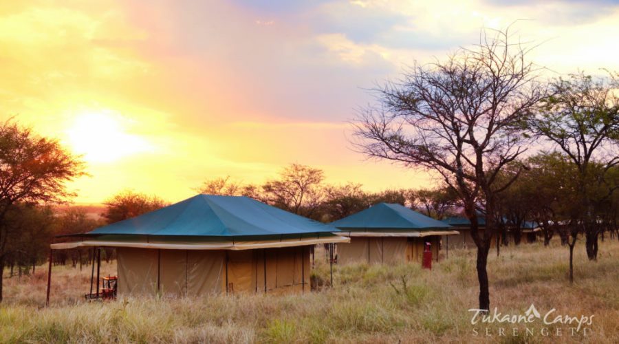 Tukaone Camp Serengeti