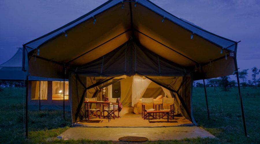 Thorn Tree Tented Camp